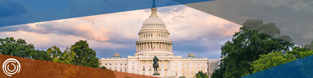 Reading the Tea Leaves: Potential Tax legislation in the New Congress header image